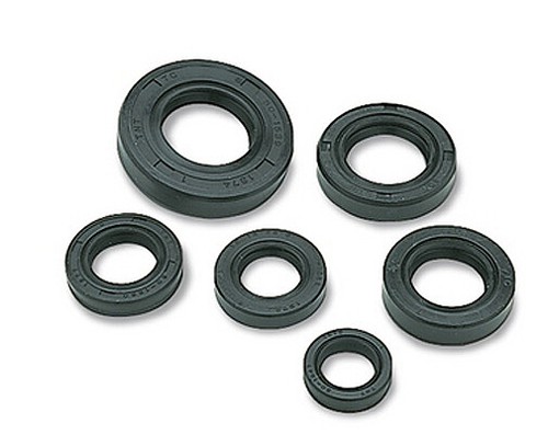 Kit guarnizioni olio motore